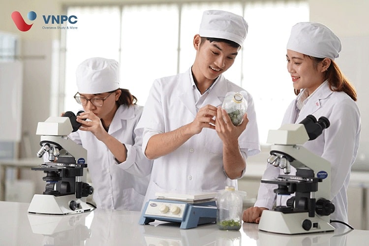 Đăng nhập King88 vina nhận +888K Canada ngành công nghệ sinh học